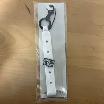 NCT DREAM 드림쇼3 커스텀 키링