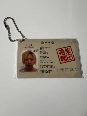 도카이 온에어 테츠야 털 여권