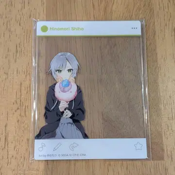 프로세카 카미고 문화제 아크릴 카드 [히노모리 시호]