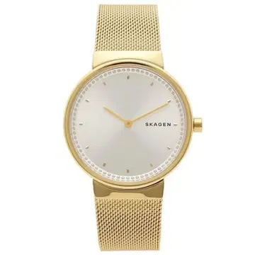 SKAGEN 골드 메쉬밴딩 실버 다이얼 시계