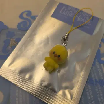 스키즈 한국 팬미팅 시크릿 참 필릭스 포가리