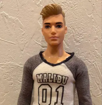 Barbie Ken Fashionistas #8 Camo Comeback