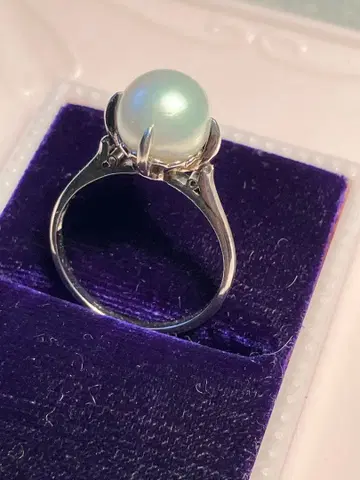 작은 진주 반지