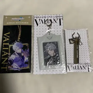 야오토메 가쿠 VALIANT 굿즈 세트