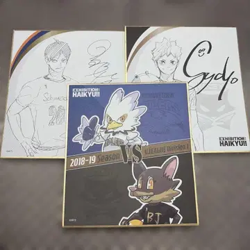 하이큐 원화전 색지 컬렉션 히나타 쇼요 카게야마 토비오