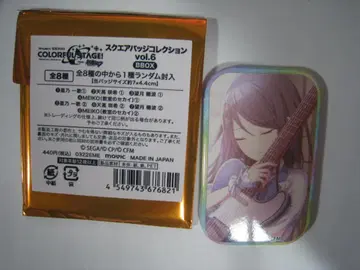 프로젝트 세카이 컬러풀 스테이지! 스퀘어 배지 컬렉션 호시노 이치카