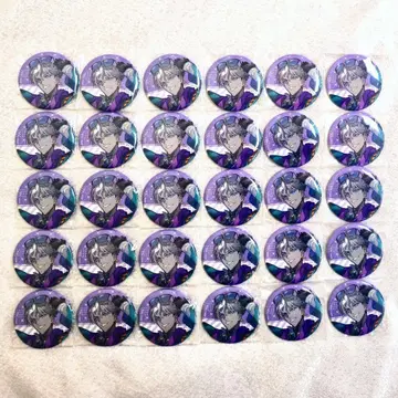 인도 캔뱃지 칼데아 새틀라이트 스테이션 2026 FGO