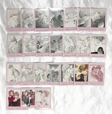 불가항력의 ILoveYou 파샤코레 와타니 사쿠