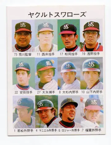 카루비 76년 제13블록 야쿠르트 스왈로스 439