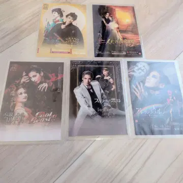 다카라즈카 가극 컬렉션 카드 유즈카 히카루 호시카제 마도카