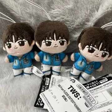 TWS 경민 KYUNGMIN 호와누이 3개 세트