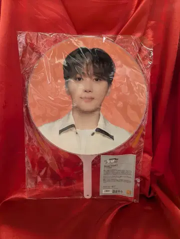 세븐틴 2024 팔로우 어게인 투 재팬 승관 이미지 피켓