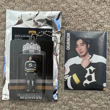 seventeen home wonwoo 아크릴 키링