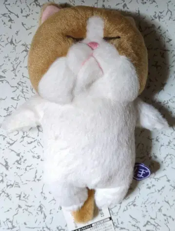 보우네코 고양이 봉제 인형 (챠보우)