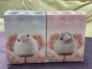 모후모후 테노리 프렌즈 시나몬 모란앵무 화이트 모란앵무 세트 판매