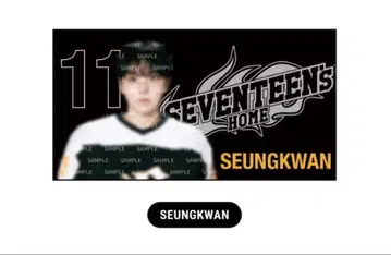 세븐틴 SEVENTEEN HOME 승관 포토 담요