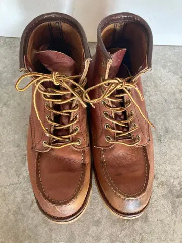 RED WING 8875 아이리쉬 세터 6' CLASSICMOC