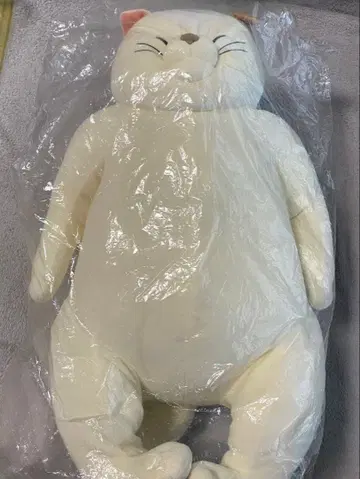 지브리 파크 무타 씨 봉제 인형 고양이의 보은