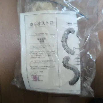 카리오스트로 SAKAKI Workshops 레진 키트