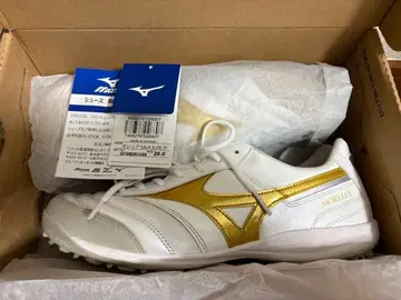 [ MIZUNO ] 모렐리아 SALA ELITE TF