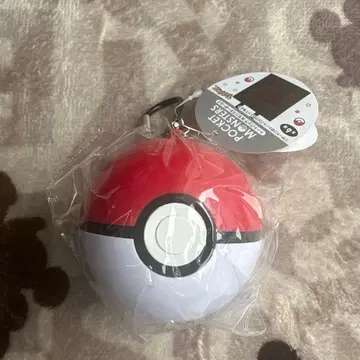 토트백 IN 몬스터볼 리자몽