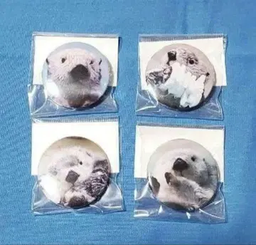 도바 수족관 마그넷 랏코 메이짱 키라짱 4개 세트