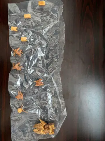 기동전사 건담 G 프레임 FA 갓건담