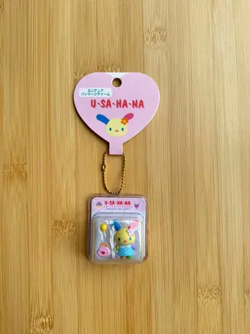 U-SA-HA-NA 우사하나 미니어처 패키지 참