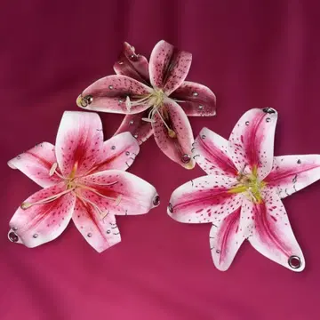 하이비스커스 귀걸이 지뢰 갸루 키링