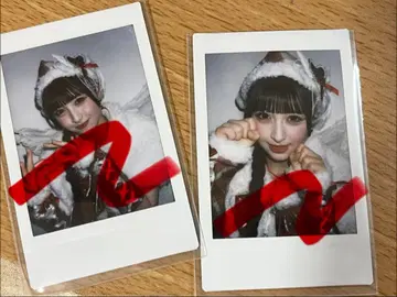 iLiFE! 와카바노아 크리스마스 란 폴라로이드