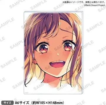 뱅드림 신자와 슈 이치가야 아리사 아크릴 스탠드 패널