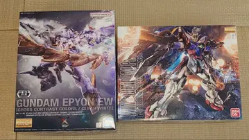 MG 프로토제로 & 에피온 EW [크로스 대비 색상]