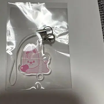 stray kids 스키즈 팬미팅 울프찬 입장 특전 키링