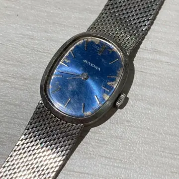 동작 미확인 쥬베니아 블루 수동 와인딩 실버