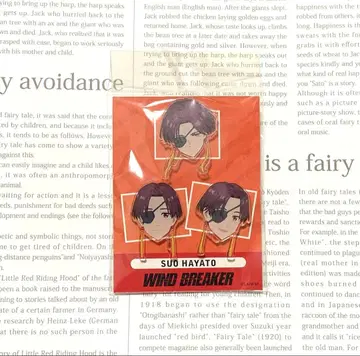 WIND BREAKER 아크릴 핀 배지 세트 소방준비 윈브레 생목