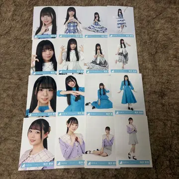 사카이 니이나 16종 컴프 히나탄사이 몽그루 JOYFUL 파스텔