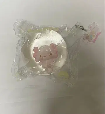 momo 스퀴즈 해양 우파루파