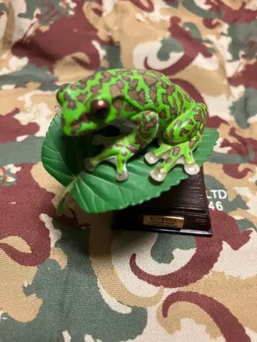 네이처 테크니컬러 일본의 개구리 모리아오 개구리