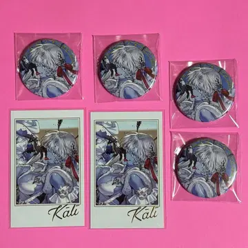 FGO 페스티벌 2025 포트레이트 캔뱃지 두르가 6개 세트