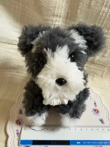 강아지 봉제 인형 그레이와 화이트