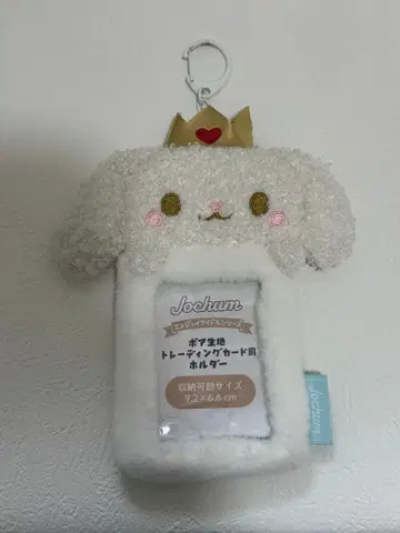 JOCHUM 제오참 RURU 루루 트레이딩 카드 케이스 시로이와 루키