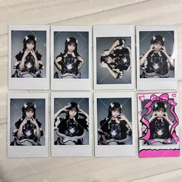 모리 그린 란 폴라로이드 일