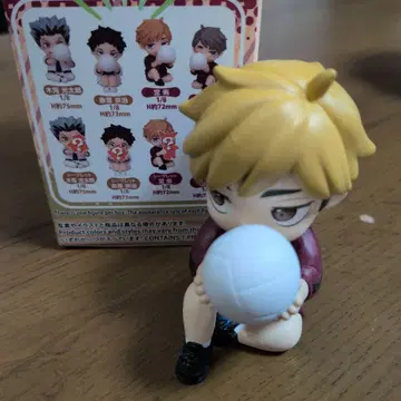 하이큐!! Hidr&Seek 숨바꼭질 미야 아츠무 노멀