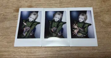 히메지 시라사기 락 페스티벌 키즈 쿄노스케 폴라로이드