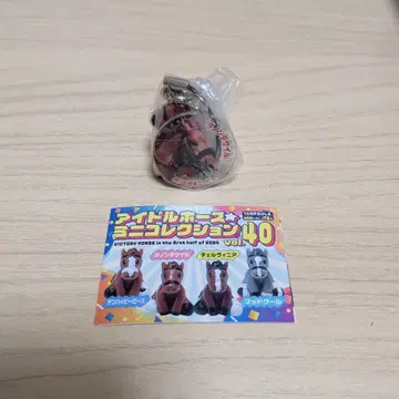 아이돌 호스 미니 컬렉션 40 다논 데사이르