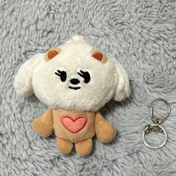 TXT 범규 밤굿 키링 봉제 인형 초기