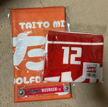 미즈마치 타이토 굿즈