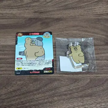 큐라이스 맹진격 가짜 슬픈 곰