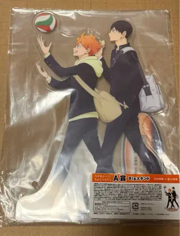 하이큐!! 쪼꼬렛 복권 A상 Big 스탠드 히나타 카게야마