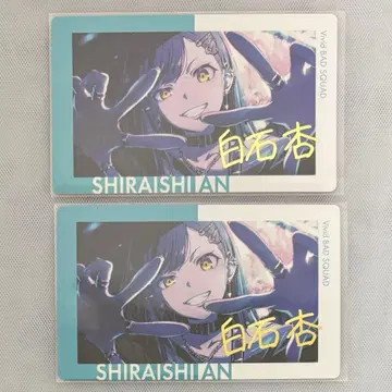 프로세카 에피카 26A 시라이시 안 금박 2장 세트